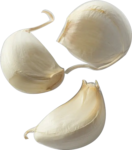 Garlic Clove Png Free Garlic Clove Transparent Background Garlic Transparent Background