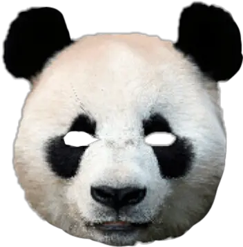 Download Hd Mask Costume Scary Creepy Panda Head Mask Png Panda Face Png