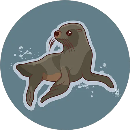 Sea Lion New Zealand Marine Animals Steller Sea Lion Png Sea Lion Icon