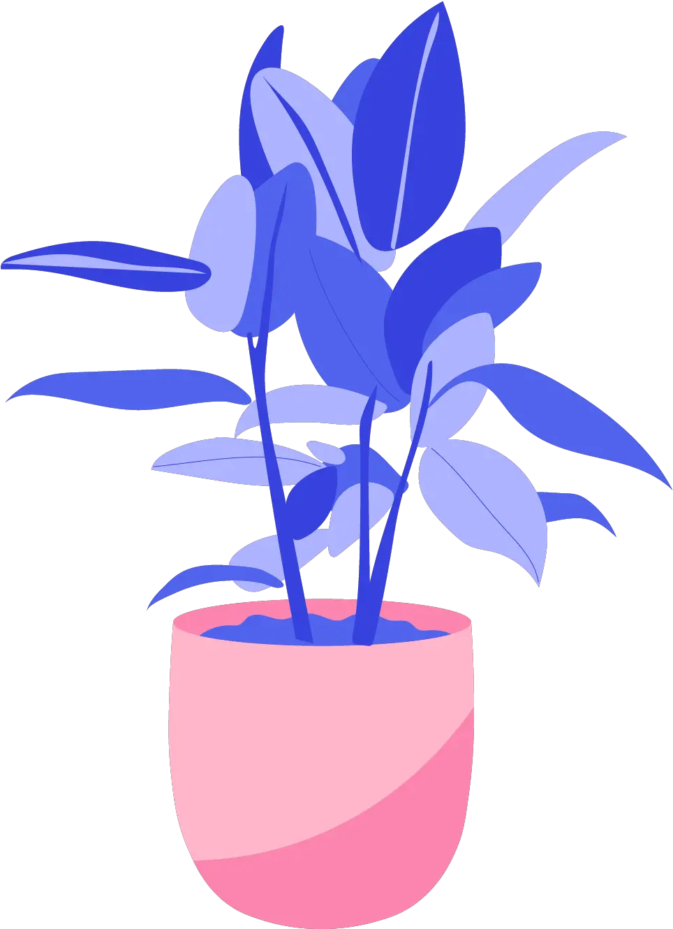 Aquarius Jan 20 Feb 18 The Best Houseplant For Every Png Cole Sprouse Icon Gif.