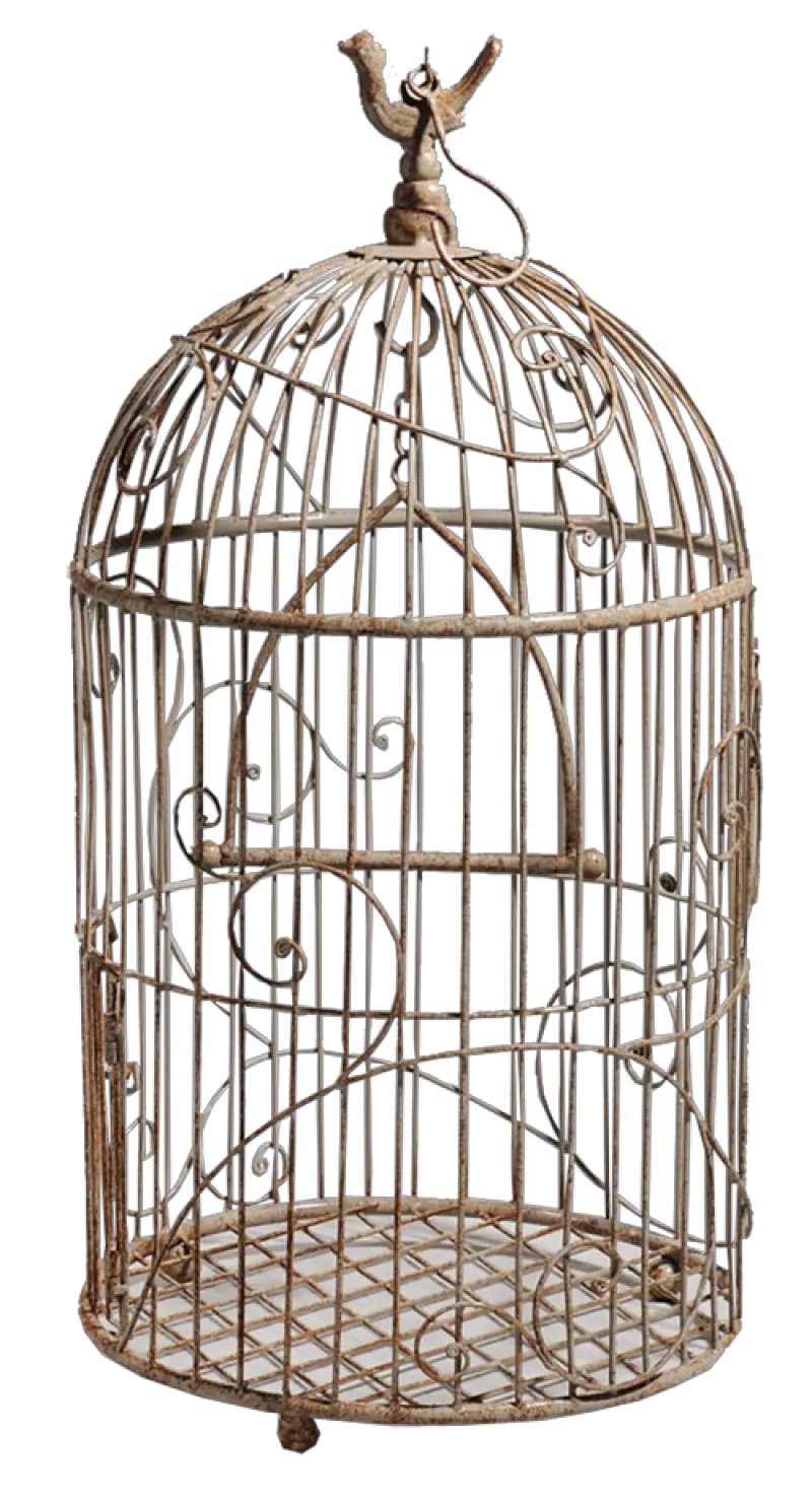 Cage Bird Png Bird Cage Png Cage Transparent
