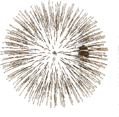 Fireworks Gif Transparent Www Pixshark Animated Fireworks Gif Transparent Png Transparent Fireworks
