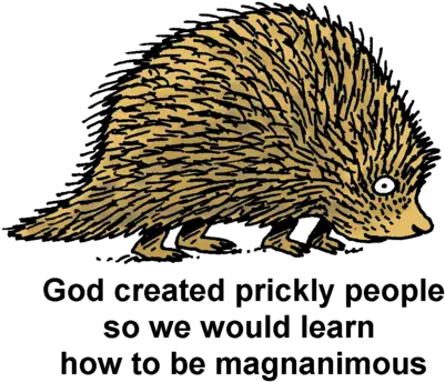 Download Porcupine Domesticated Hedgehog Full Size Png Domesticated Hedgehog Porcupine Png