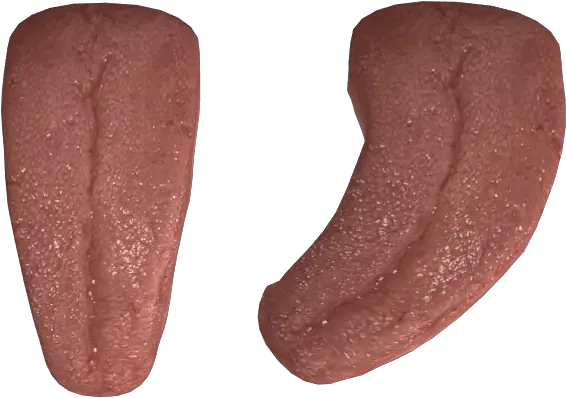 Tongue Icon Transparent Background Long Tongue Png Tongue Png