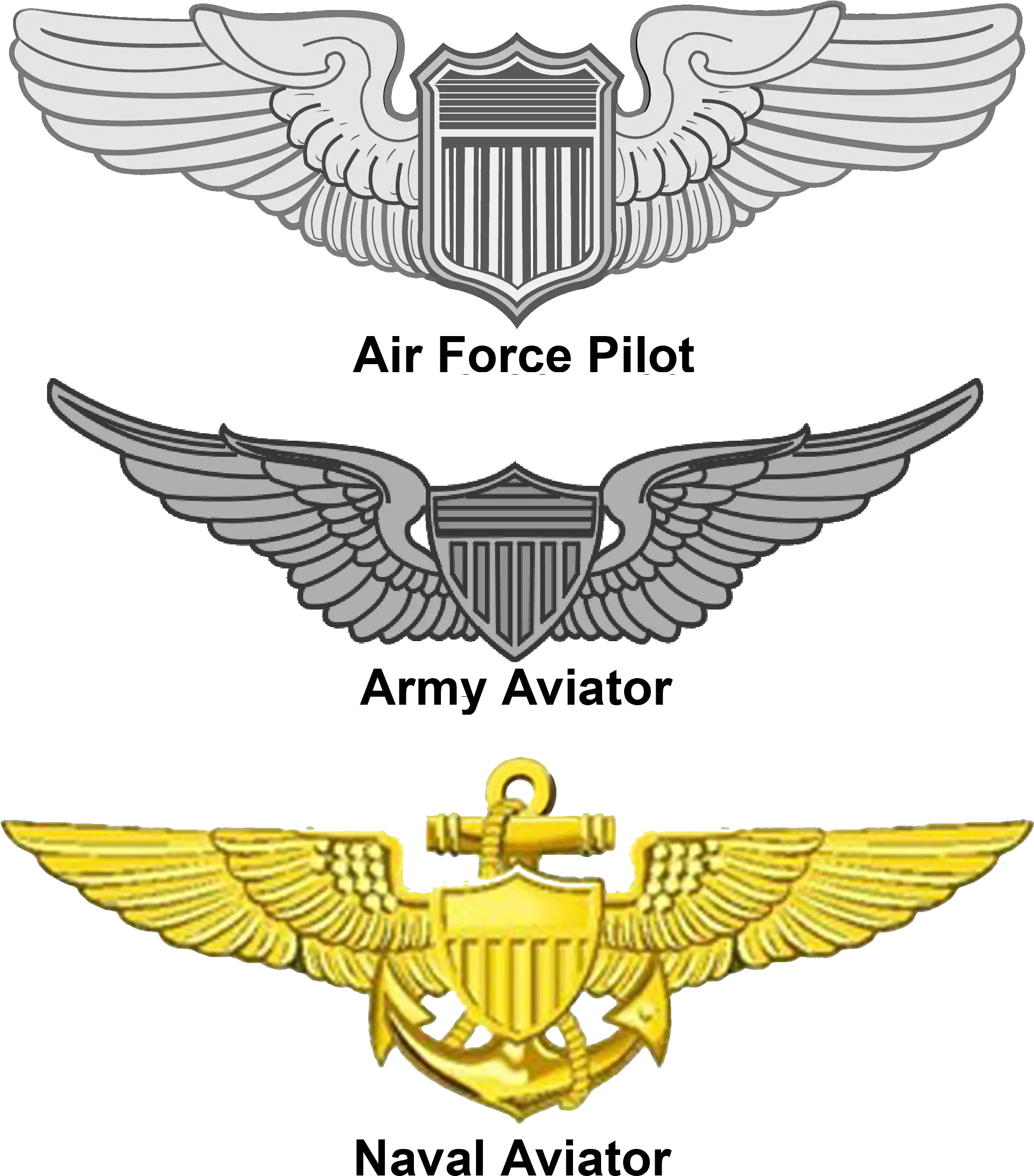 United States Aviator Badge Air Force Pilot Wings Png Aviator Png