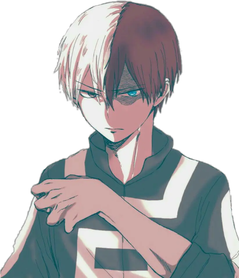 Todoroki Png Shoto Todoroki Todoroki Png