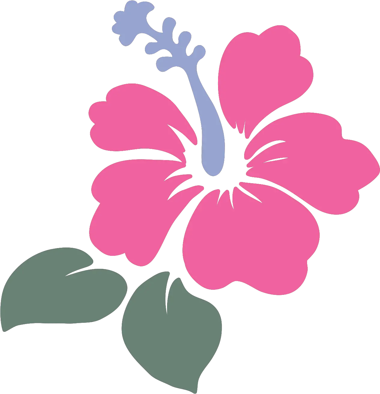 Free Flor De Hawaii Png With Shoeblackplant Hawaii Png