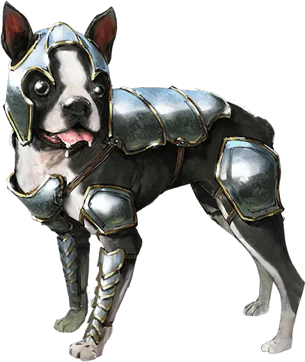 Boston Terrier Boston Terrier Armor Png Boston Terrier Png