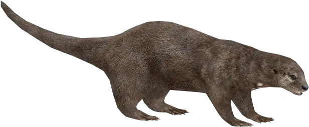 Otter Png Pic Zoo Tycoon 2 Giant Otter Otter Png