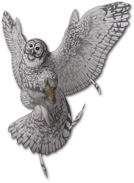 Snowy Owl Great Grey Owl Png Ovo Owl Png