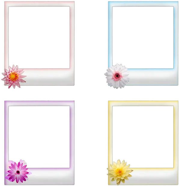 Polaroid Frames Flowers Frame Bingkai Polaroid Png Polaroid Frame Transparent