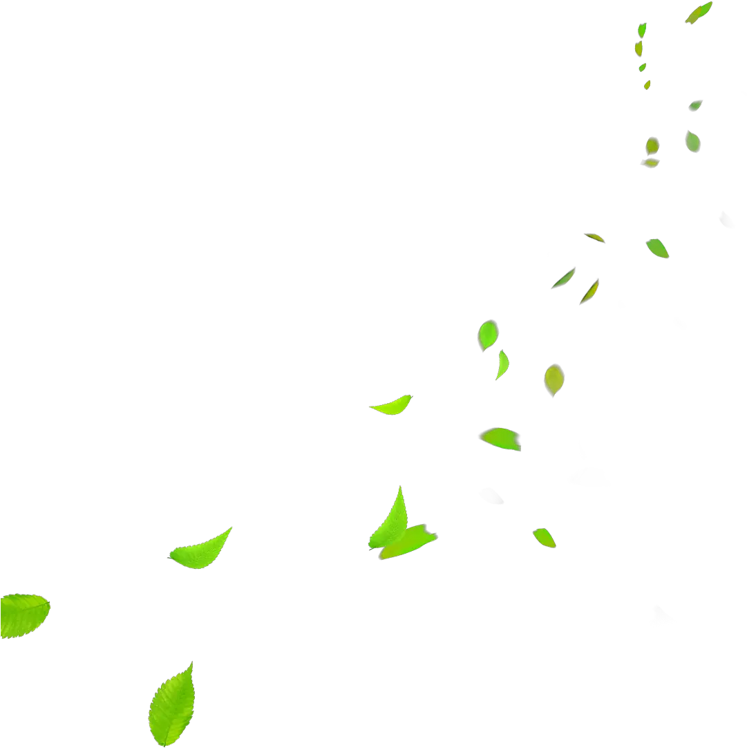 Download Hd Green Leaves Falling Png Green Leaves Falling Pn Leaves Falling Png