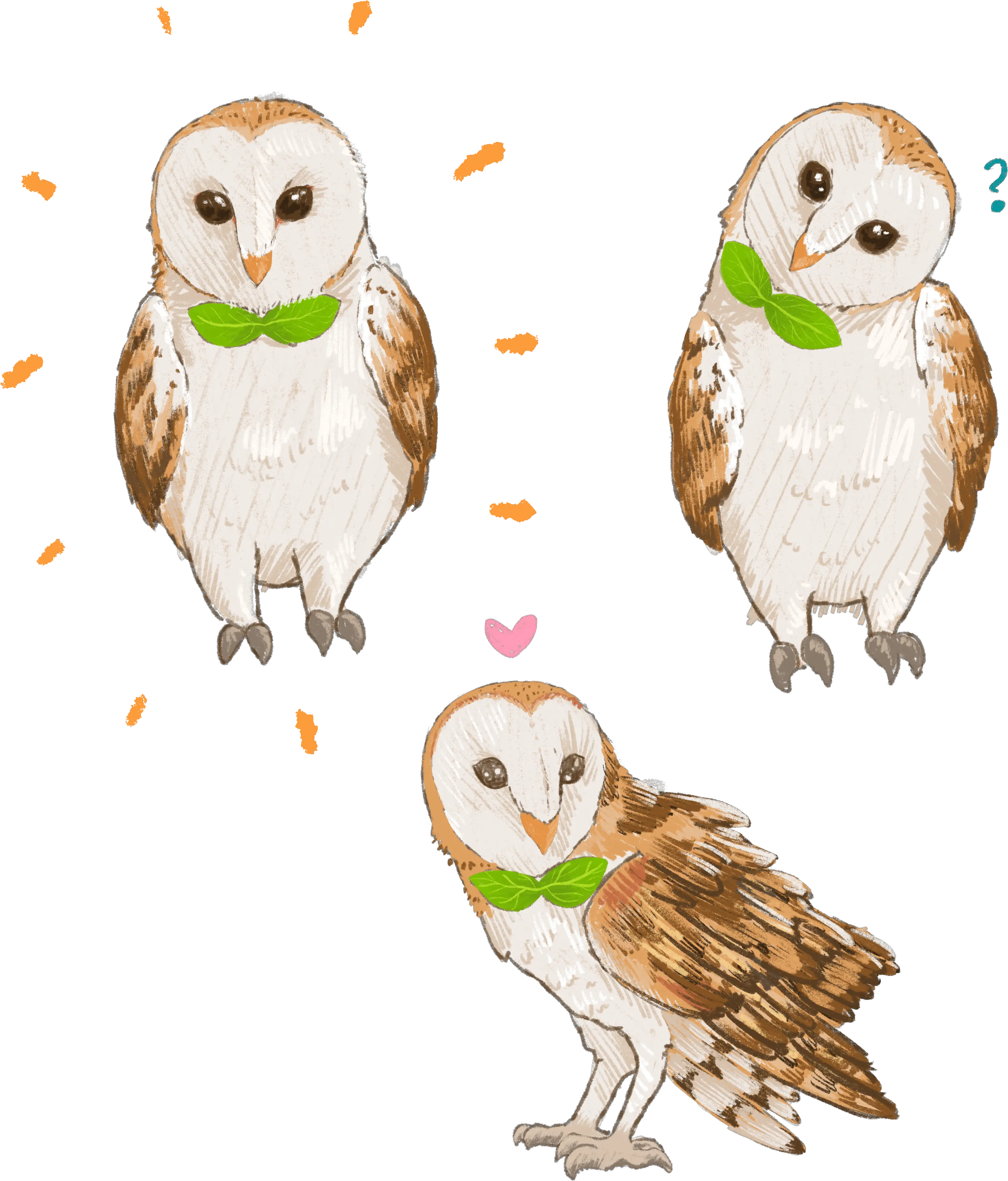 Barn Owl Glitter Acrylic Charms Png