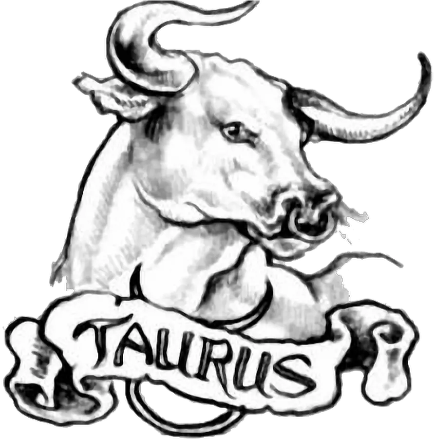 16 Taurus Tattoo Images Pictures And Design Ideas Taurus Tattoo Png Chest Tattoo Png