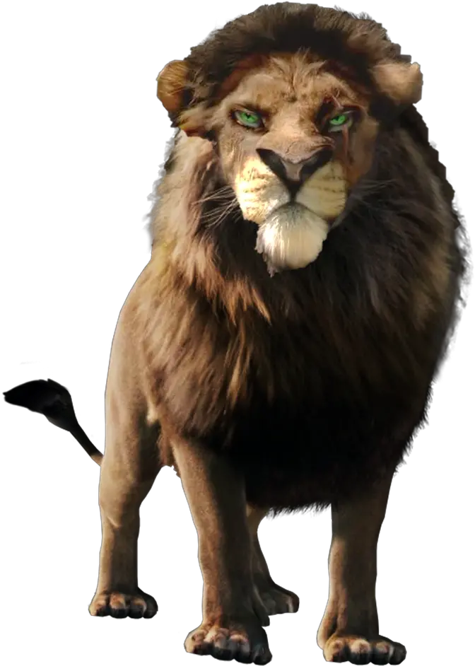 Simba Png File Lion King Png Real Simba Png