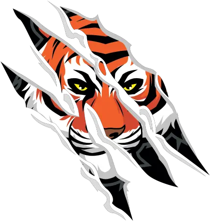 Printed Vinyl Tiger Tearing Claws Tiger Claw Logo Png Tiger Scratch Png