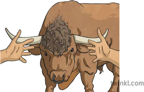 To Take The Bull By Horns Idioms Animal Hands Topics Ks2 Png Transparent