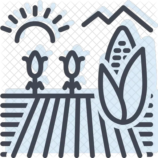 Corn Field Icon Of Colored Outline Crop Field Icon Png Corn Field Png