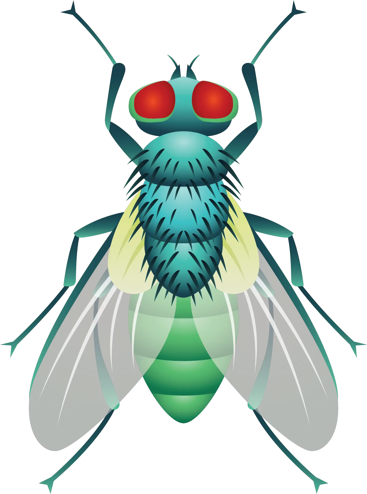 Beetle Cockroach Fly Vector Mosca Png Flies Png