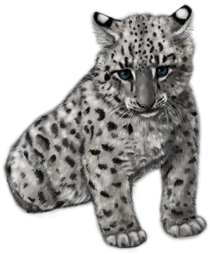 Png Cute Snow Leopard Baby Snow Leopard Transparent Snow Leopard Png