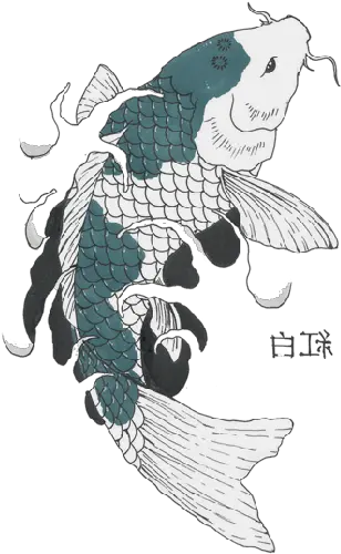 Download Koi Flipped Koi Fish Drawings Full Size Png Illustration Koi Fish Png