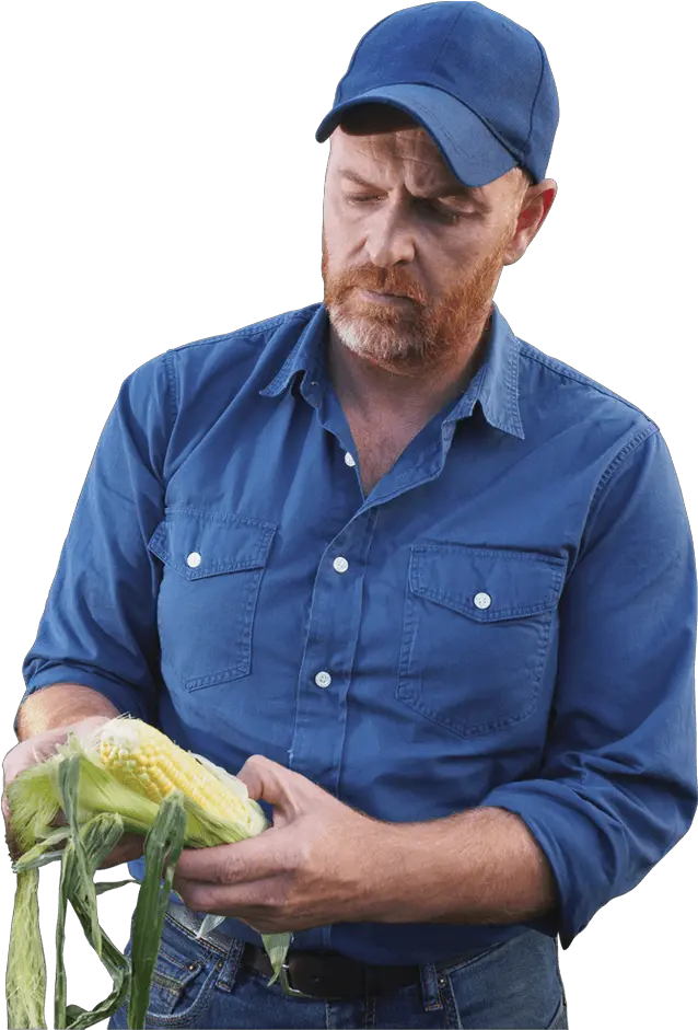 Farmer Png Images Image Real Farmer Transparent Background Crops Png