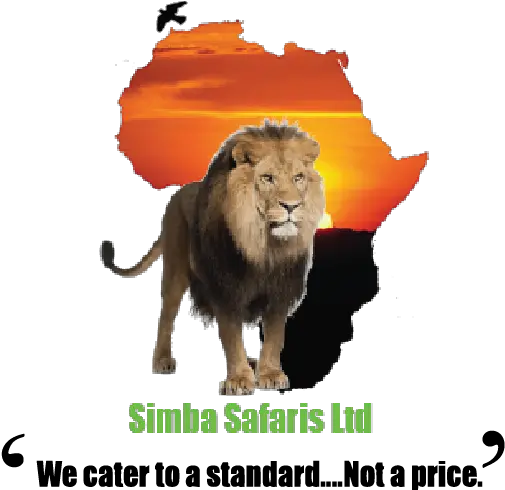 Simba Png Simbasarisuk Countries Speak Spanish In Africa Lion Potato Simba Png