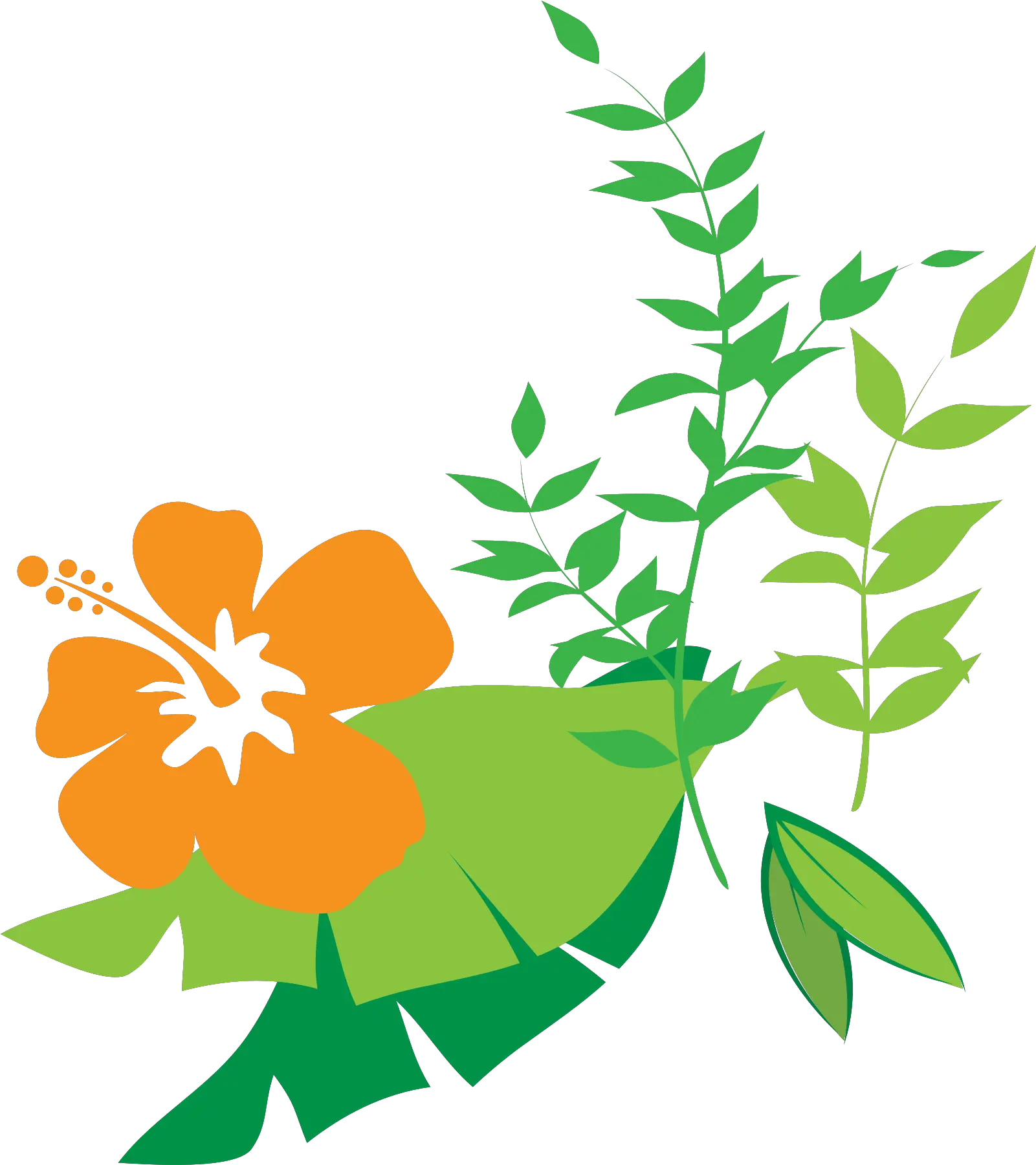 Free Hibiscus Flower 1190721 Png With Transparent Clipart Wooden Board Png Hibiscus Icon