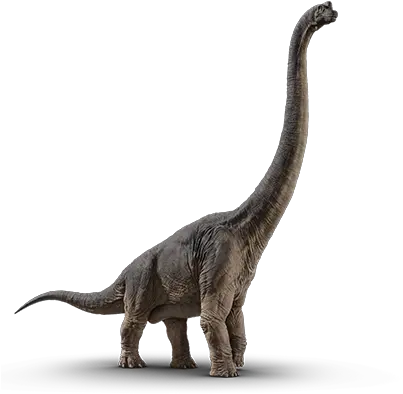 Velociraptor Jurassic World Dinosaurs Brachiosaurus Png Velociraptor Png