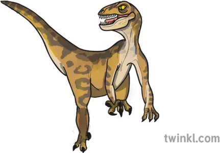 Velociraptor Dinosaur Illustration Twinkl Animal Figure Png Velociraptor Png