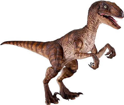 Jurassic Park Velociraptor Sixth Scale Jurassic Park Velociraptor Figure Png Velociraptor Png