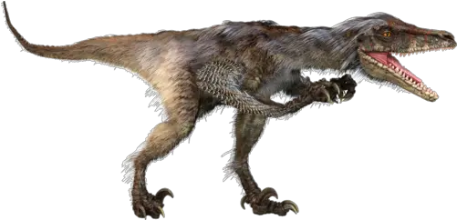 Raptor Dinosaur Png Picture 572446 Velociraptor Velociraptor Png