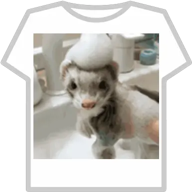 Group Picture Cute Ferret Roblox Roblox Clever Cover T Shirt Png Ferret Png