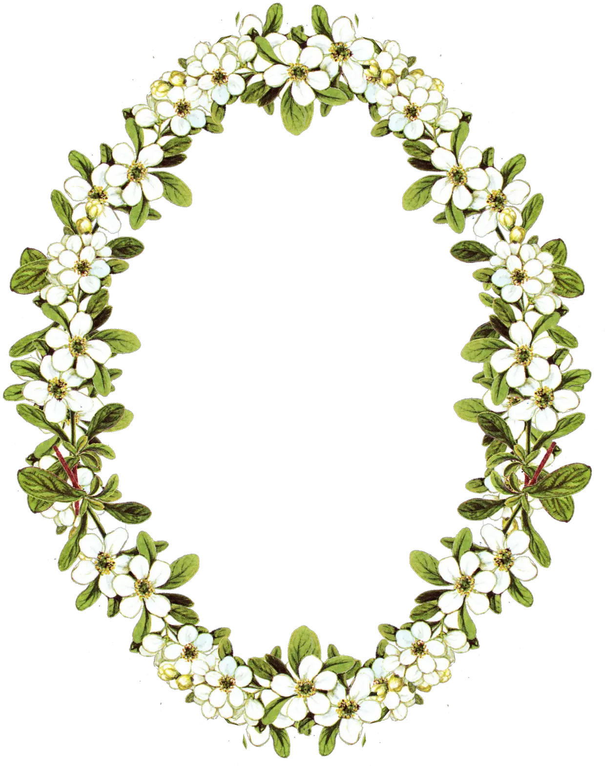 Download Hd Flower Oval Frame Png Jumma Mubarak Photo Flowers Oval Frame Png