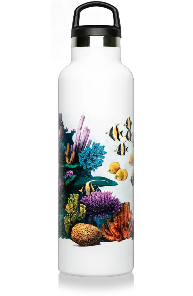 Thermal Bottle With Drawing Of Coral Reef Png
