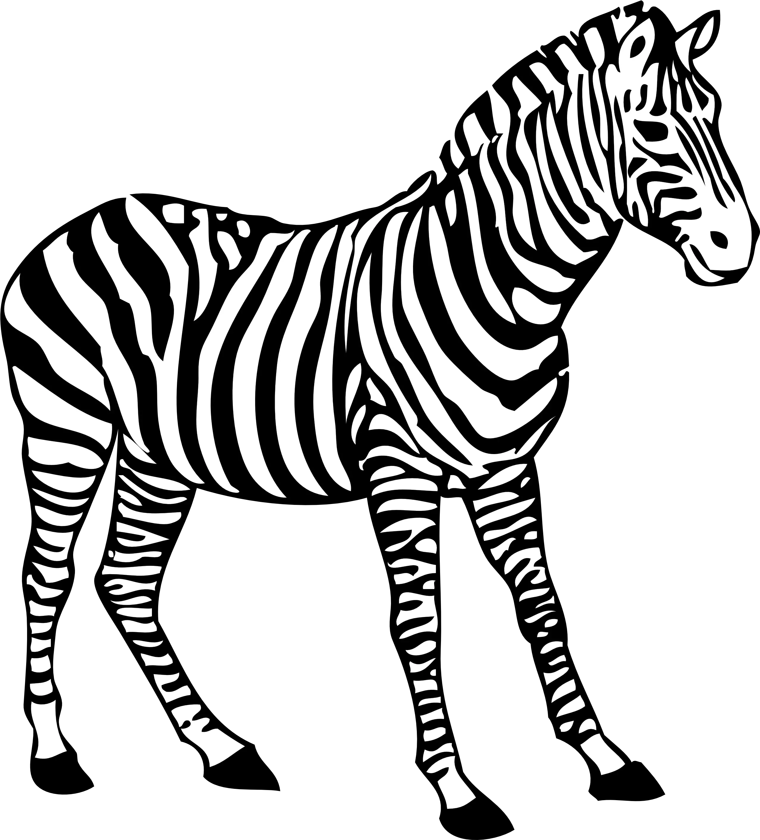 Zebra Clipart Black And White Coloring Picture Of Zebra Colouring Picture Of Zebra Png Zebra Png