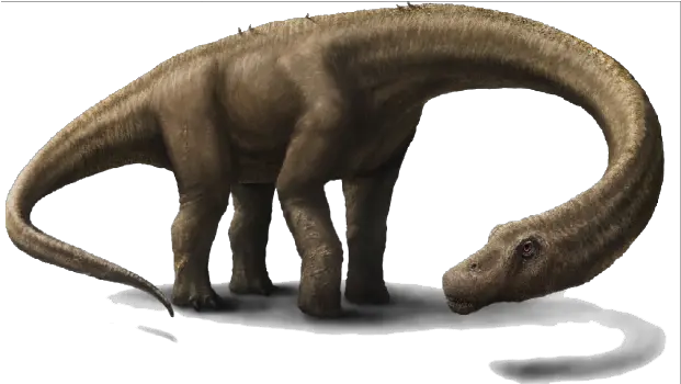 Download Dinosaur Png Hd 1 Argentina Dinosaur Dinosaur Transparent Background