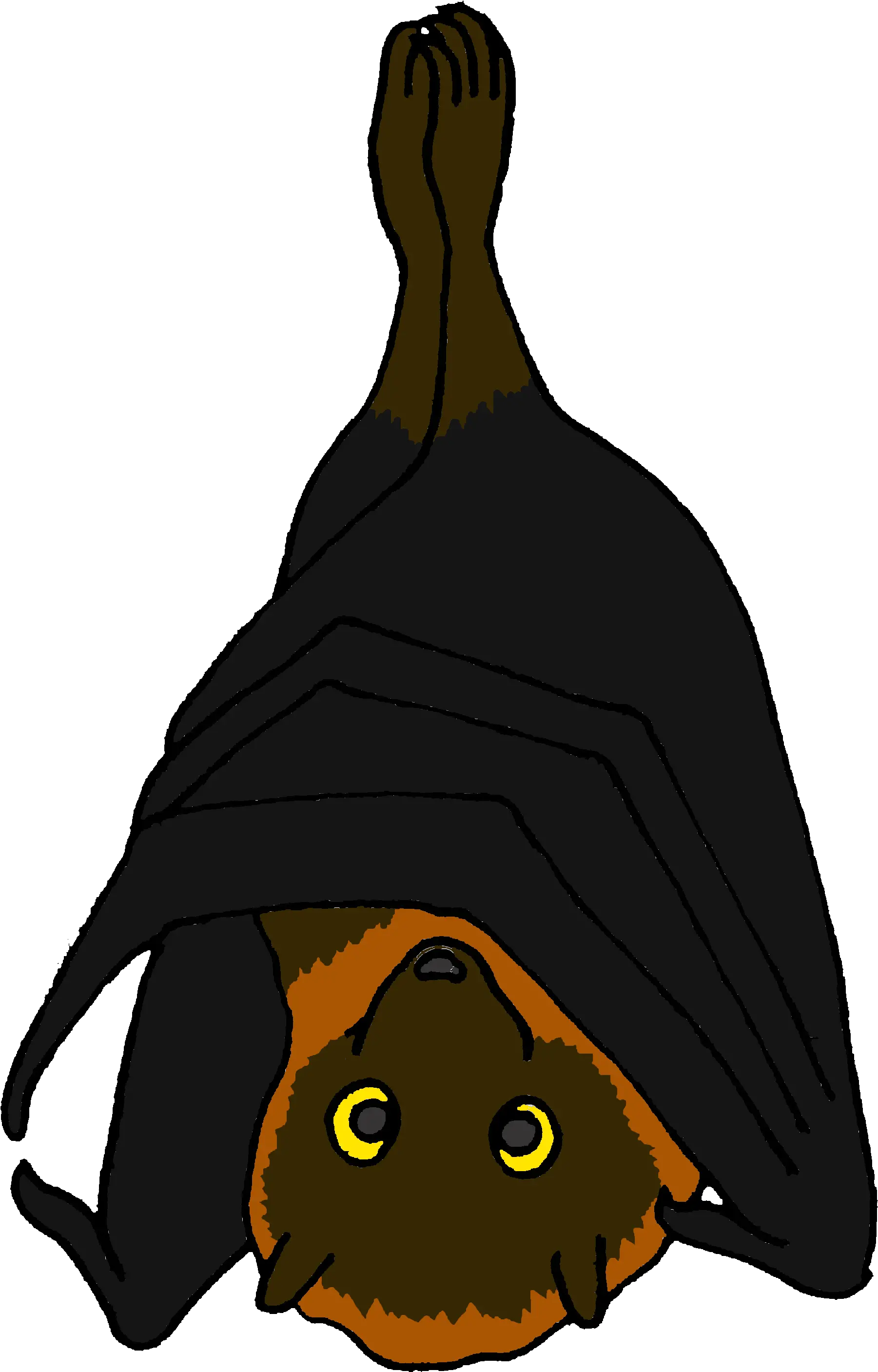 Download Hd Cartoon Rodrigues Fruit Bat Fruit Bat Clipart Png Bats Transparent