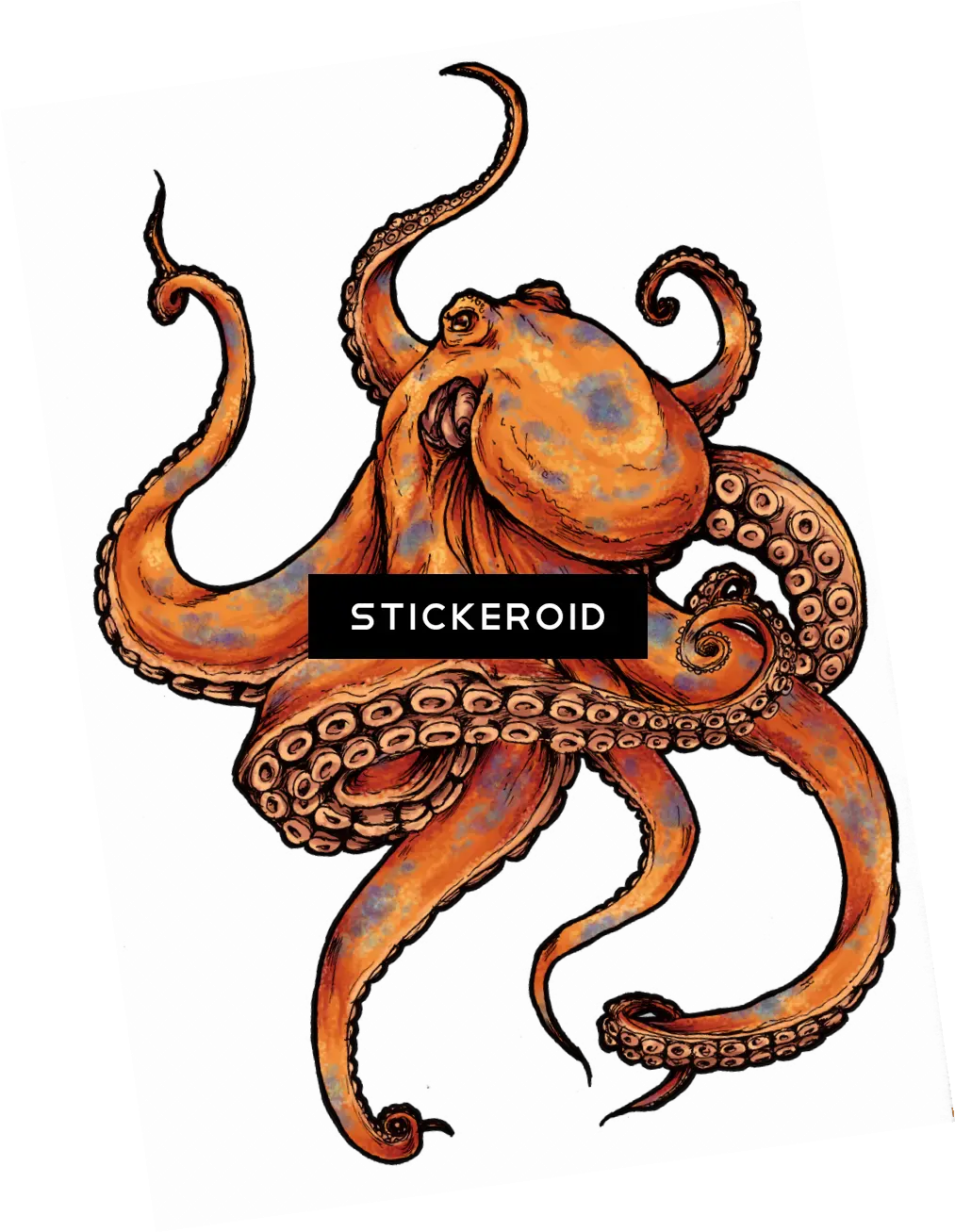 Octopus Tattoo Design Tattoos Octopus Tattoo Design Png Octopus Transparent