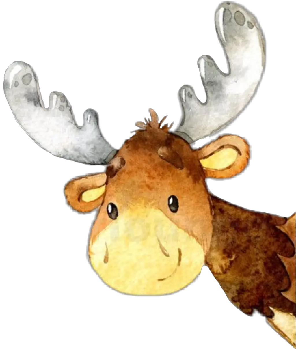 Moose Transparent Png Image Peak A Boo Woodland Animals Moose Png