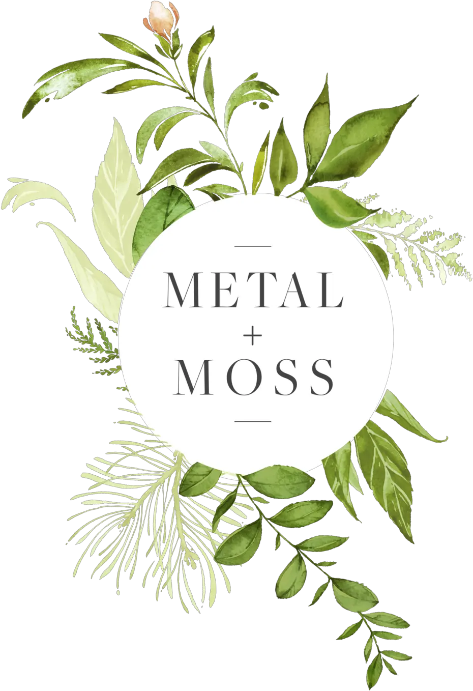 Download Hanging Moss Png Full Size Png Image Pngkit Western Yew Moss Png