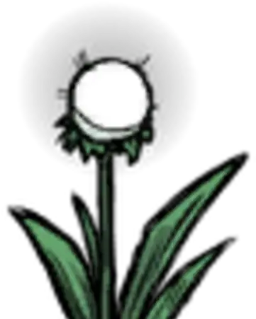Light Flower Donu0027t Starve Game Wiki Fandom Clip Art Png Single Flower Png