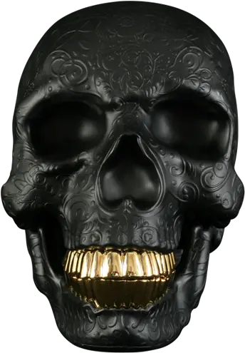 Skull With Gold Teeth Png Image Skull With Gold Teeth Png Gold Teeth Png
