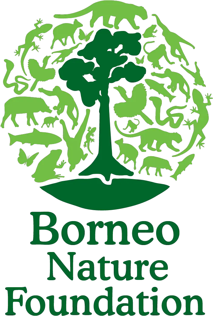 Bnf Logo 01 Borneo Nature Foundation Borneo Nature Foundation Conservation Png Nature Logo