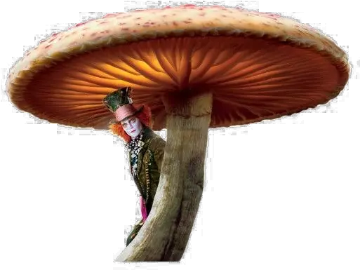 Toadstool Png Image Arts Alice In Wonderland Tim Burton Mushrooms Png