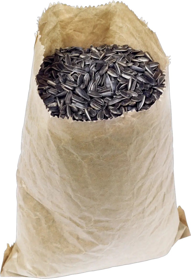 Sunflower Seeds Png Image Png Seed Png