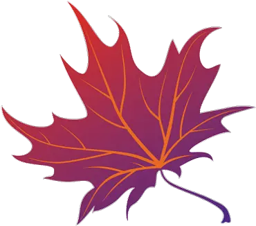 Download Japanese Maple Png Maple Leaf Japanese Maple Png