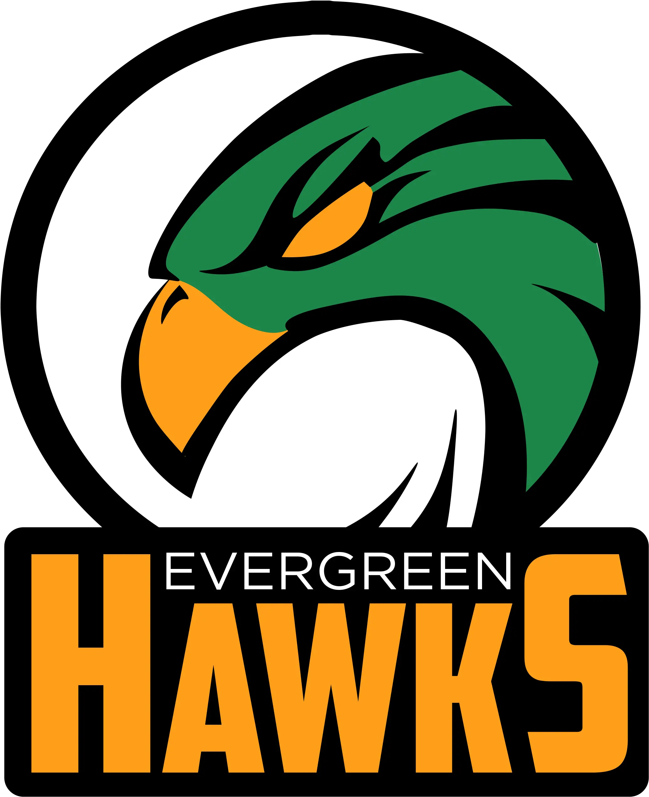 Evc Evc Logo And Style Guide Evergreen Valley College Mascot Png Hawks Logo Png