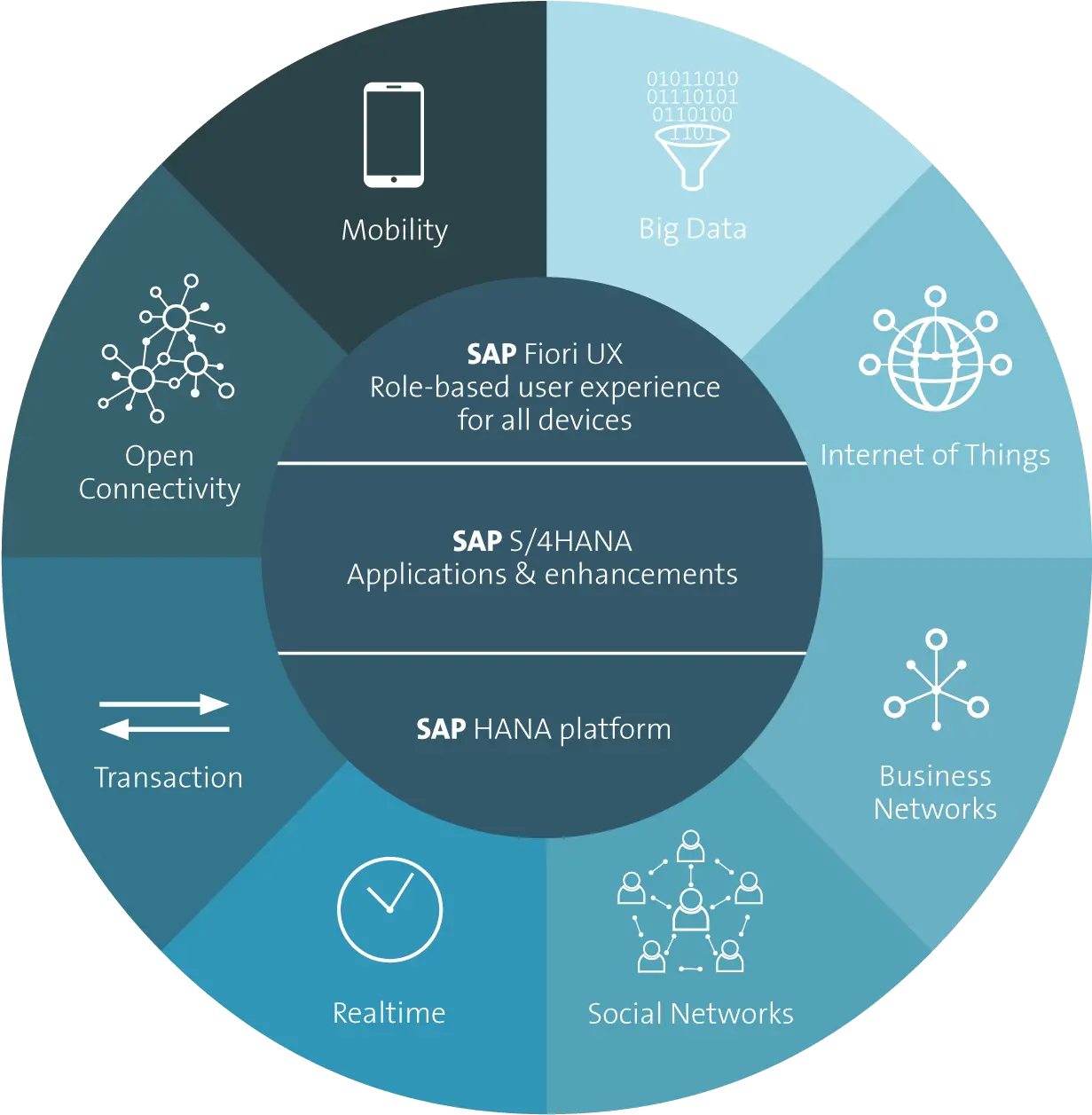 Sap Extensibilty S 4 Hana Png Sap Logon Icon