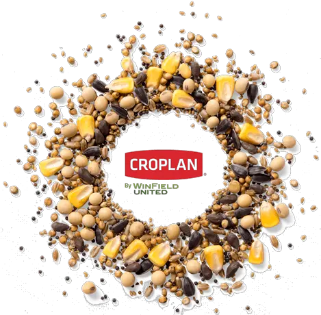 Agricultural Products Winfield United Winfield United Croplan By Winfield Png Seed Png